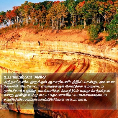 உபாகமம் 26:3 TAMIRV Bible Verse Image