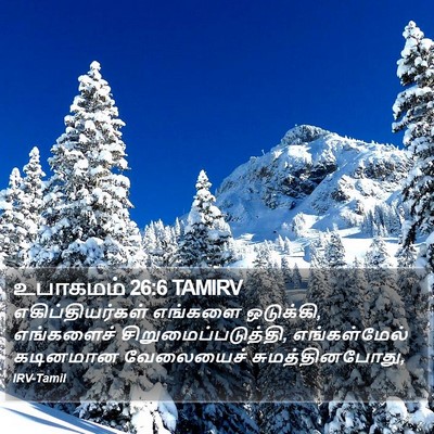உபாகமம் 26:6 TAMIRV Bible Verse Image
