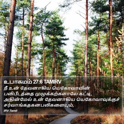 உபாகமம் 27:6 TAMIRV Bible Verse Image