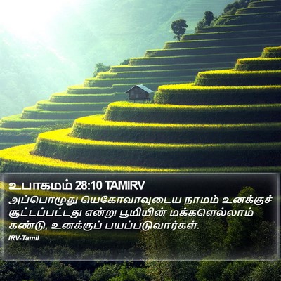 உபாகமம் 28:10 TAMIRV Bible Verse Image
