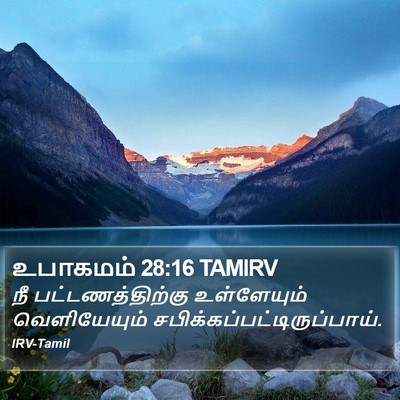 உபாகமம் 28:16 TAMIRV Bible Verse Image
