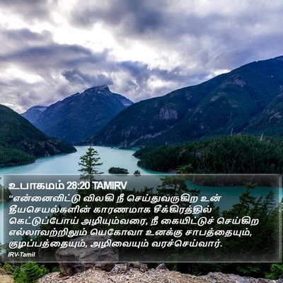 உபாகமம் 28:20 TAMIRV Bible Verse Image