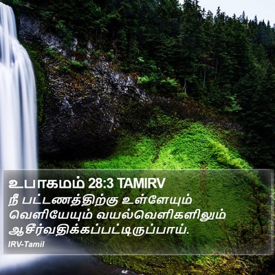 உபாகமம் 28:3 TAMIRV Bible Verse Image
