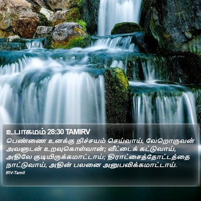 உபாகமம் 28:30 TAMIRV Bible Verse Image