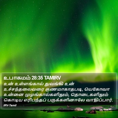 உபாகமம் 28:35 TAMIRV Bible Verse Image