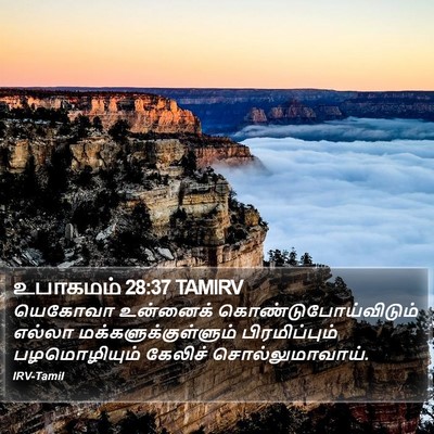 உபாகமம் 28:37 TAMIRV Bible Verse Image