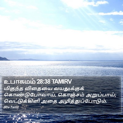 உபாகமம் 28:38 TAMIRV Bible Verse Image