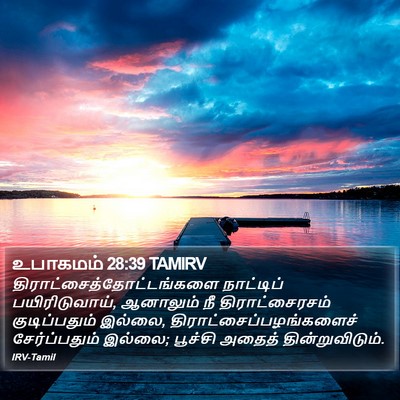உபாகமம் 28:39 TAMIRV Bible Verse Image