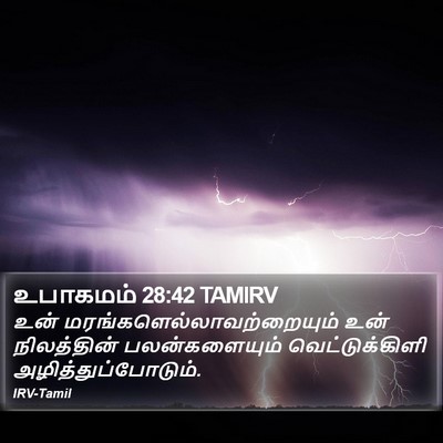 உபாகமம் 28:42 TAMIRV Bible Verse Image