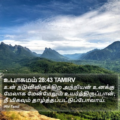 உபாகமம் 28:43 TAMIRV Bible Verse Image