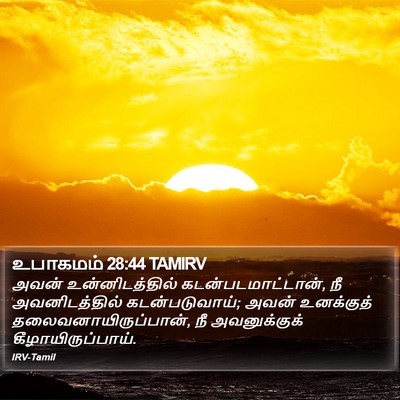 உபாகமம் 28:44 TAMIRV Bible Verse Image