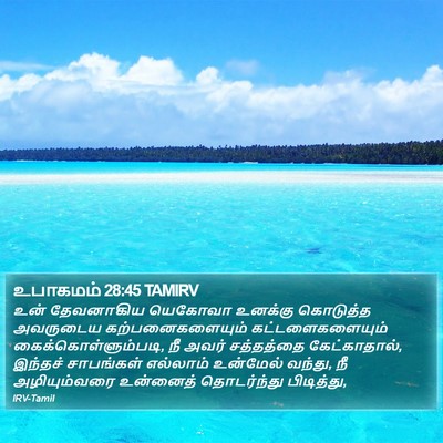 உபாகமம் 28:45 TAMIRV Bible Verse Image