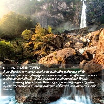 உபாகமம் 28:51 TAMIRV Bible Verse Image