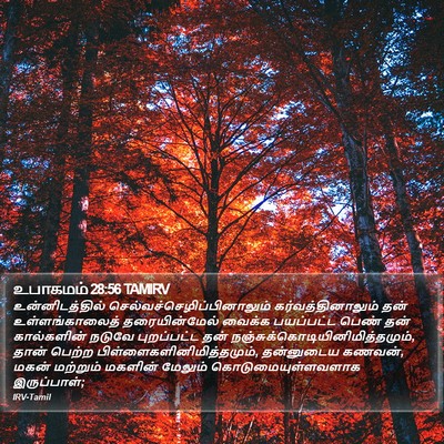 உபாகமம் 28:56 TAMIRV Bible Verse Image