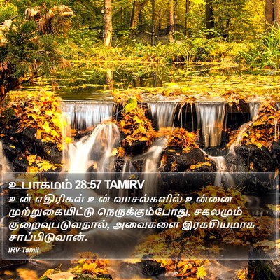 உபாகமம் 28:57 TAMIRV Bible Verse Image
