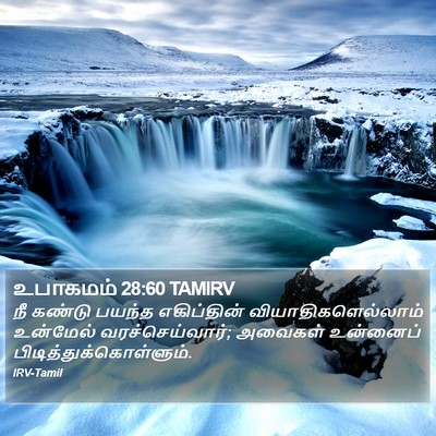 உபாகமம் 28:60 TAMIRV Bible Verse Image