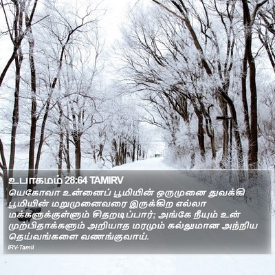 உபாகமம் 28:64 TAMIRV Bible Verse Image