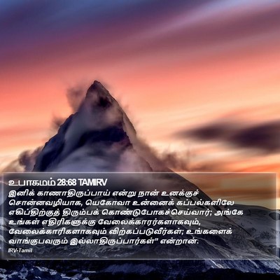உபாகமம் 28:68 TAMIRV Bible Verse Image