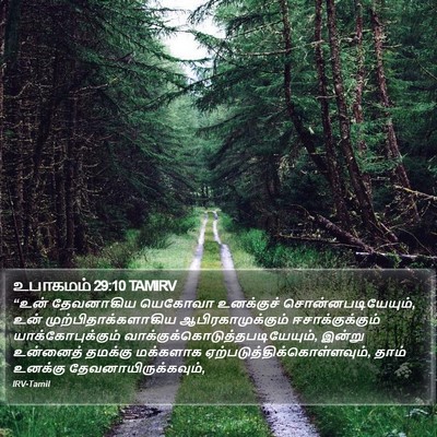 உபாகமம் 29:10 TAMIRV Bible Verse Image