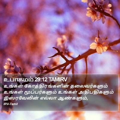 உபாகமம் 29:12 TAMIRV Bible Verse Image
