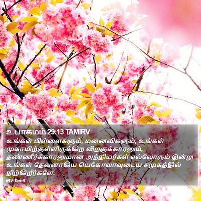 உபாகமம் 29:13 TAMIRV Bible Verse Image