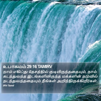உபாகமம் 29:16 TAMIRV Bible Verse Image
