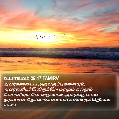 உபாகமம் 29:17 TAMIRV Bible Verse Image