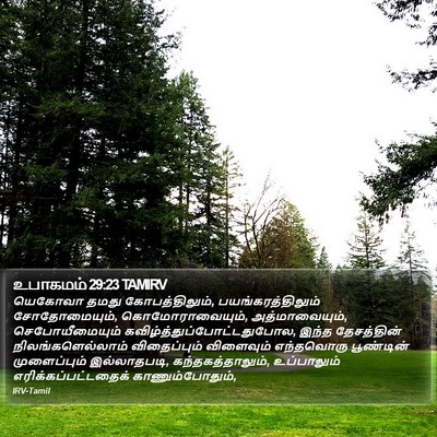 உபாகமம் 29:23 TAMIRV Bible Verse Image