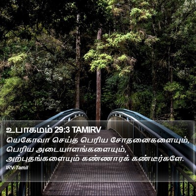 உபாகமம் 29:3 TAMIRV Bible Verse Image