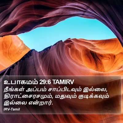 உபாகமம் 29:6 TAMIRV Bible Verse Image