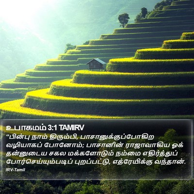 உபாகமம் 3:1 TAMIRV Bible Verse Image