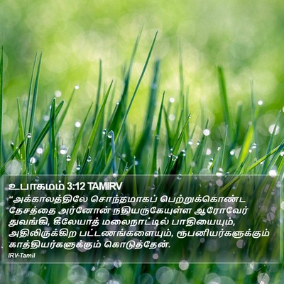உபாகமம் 3:12 TAMIRV Bible Verse Image