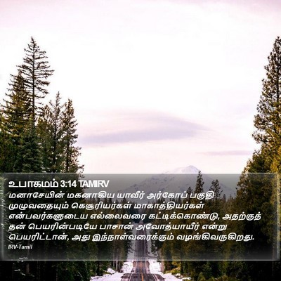 உபாகமம் 3:14 TAMIRV Bible Verse Image