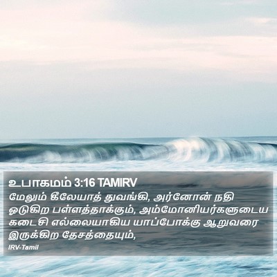 உபாகமம் 3:16 TAMIRV Bible Verse Image