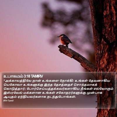 உபாகமம் 3:18 TAMIRV Bible Verse Image