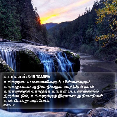 உபாகமம் 3:19 TAMIRV Bible Verse Image