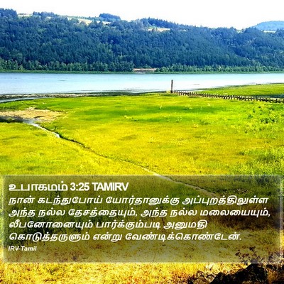உபாகமம் 3:25 TAMIRV Bible Verse Image