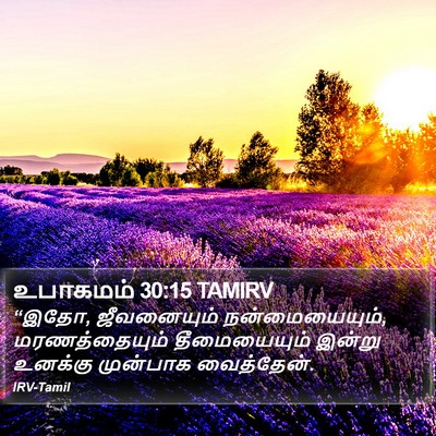 உபாகமம் 30:15 TAMIRV Bible Verse Image