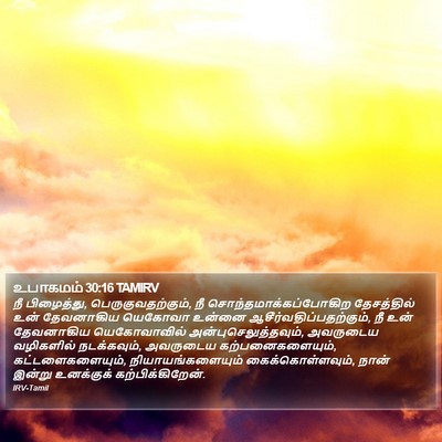 உபாகமம் 30:16 TAMIRV Bible Verse Image