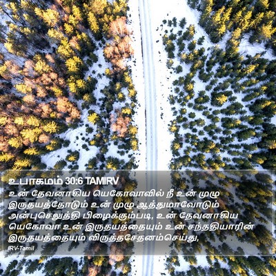 உபாகமம் 30:6 TAMIRV Bible Verse Image