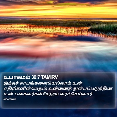 உபாகமம் 30:7 TAMIRV Bible Verse Image