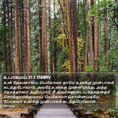 உபாகமம் 31:3 TAMIRV Bible Verse Image