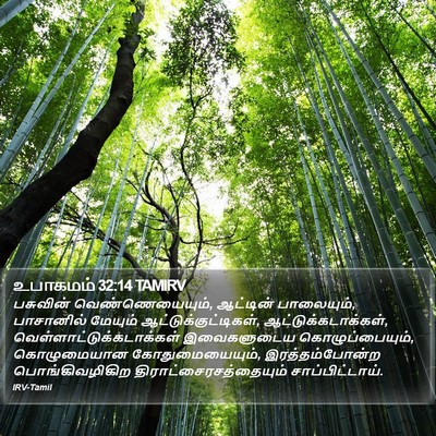 உபாகமம் 32:14 TAMIRV Bible Verse Image