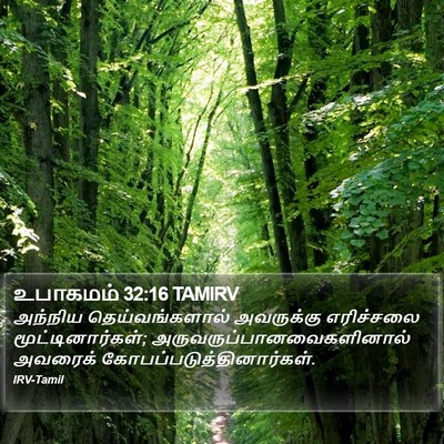 உபாகமம் 32:16 TAMIRV Bible Verse Image