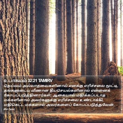 உபாகமம் 32:21 TAMIRV Bible Verse Image