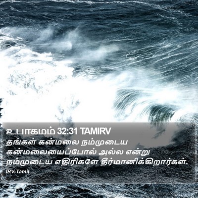 உபாகமம் 32:31 TAMIRV Bible Verse Image