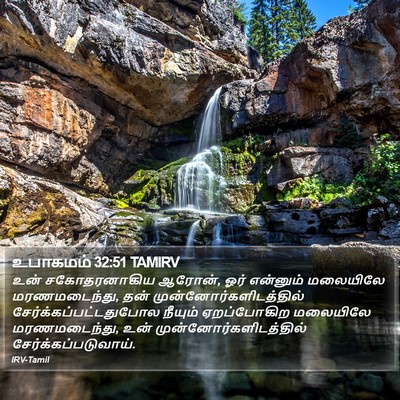 உபாகமம் 32:51 TAMIRV Bible Verse Image