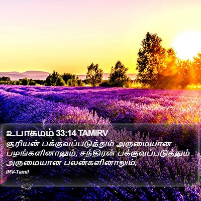 உபாகமம் 33:14 TAMIRV Bible Verse Image