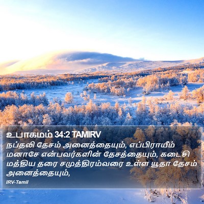 உபாகமம் 34:2 TAMIRV Bible Verse Image