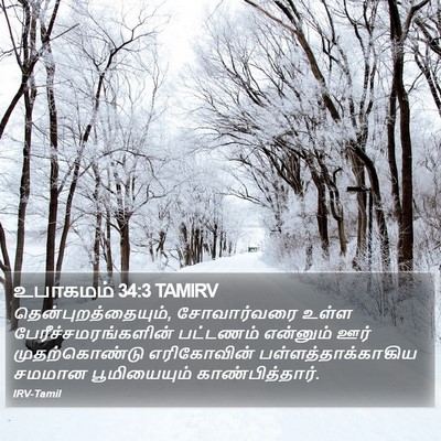 உபாகமம் 34:3 TAMIRV Bible Verse Image